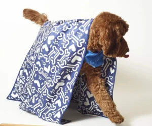 Sustainable Paws and Eco-Friendly Homes: Once Again Home Co. Expands Innovative Textile Line With Its First-Ever Dedicated Pet Collection