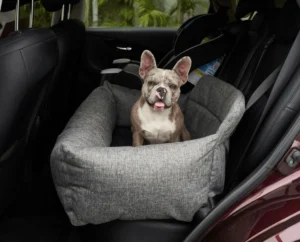 The Canine Comfort Crisis: Why Investing in a Quality Dog Bed Is Essential for Your Pet’s Longevity