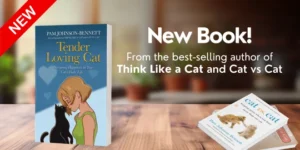 The Feline Adjustment: Navigating Daylight Saving Time with Your Cat