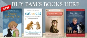 The Feline Perspective: 10 Common Human Behaviors That Undermine Your Cat’s Well-Being