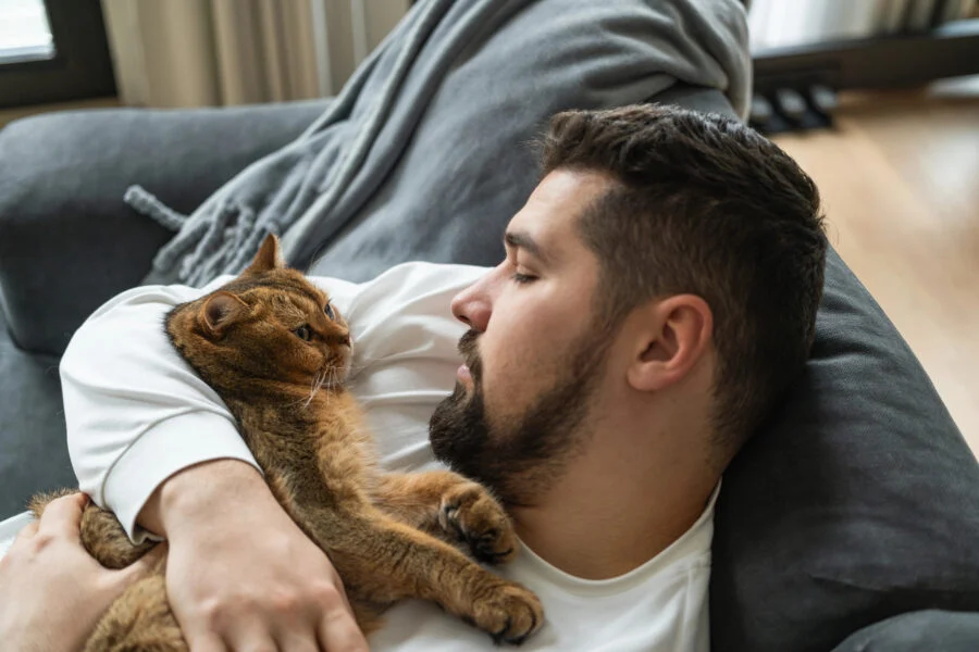 The Feline Renaissance: How Gen Z, ‘Cat Dads,’ and Record Adoption Are Reshaping the American Pet Economy