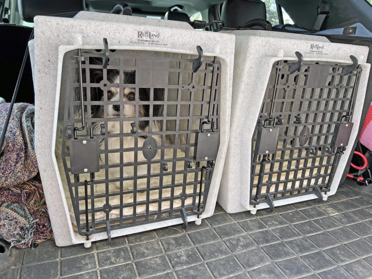 The Fortress on Wheels: A Comprehensive Guide to Choosing the Right Hard-Sided Dog Crate