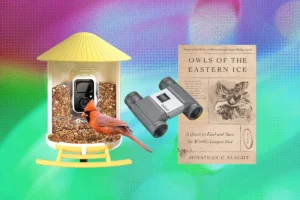 The Great Midlife Aviation Sorting: Why Bird-Watching Gift Guides Matter More Than Ever