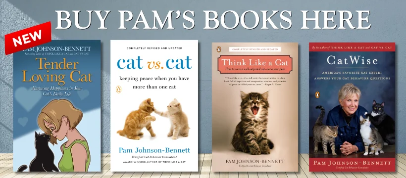 The Mysterious Anatomy of the Feline Ear: Unraveling the Secrets of ‘Henry’s Pocket’