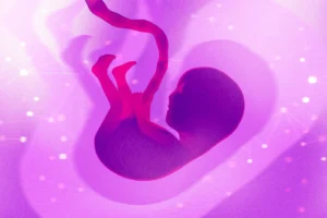 The Race for the Germline: Inside the Renewed Push for Gene-Edited Human Embryos