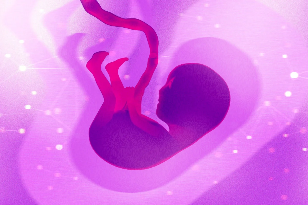 The Race for the Germline: Inside the Renewed Push for Gene-Edited Human Embryos