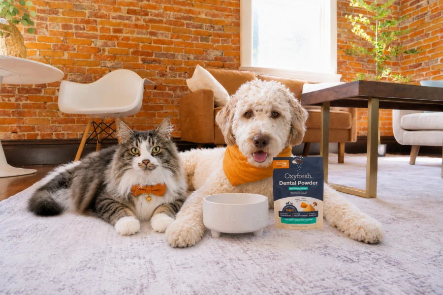 Transforming Pet Wellness: Oxyfresh Launches Advanced Dental Powder to Simplify Oral Care for Cats and Dogs