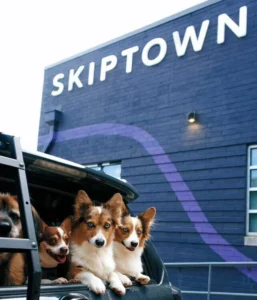 Unleashing a New Era of Pet Care: Skiptown Announces Major Five-Unit Franchise Agreement to Launch in Greater Austin