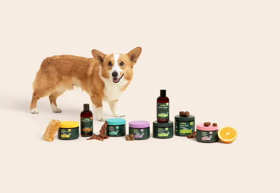 Wuffes Expands Nationwide: Premium Dog Supplement Brand Lands on Shelves at Tractor Supply Company in Major Retail Milestone