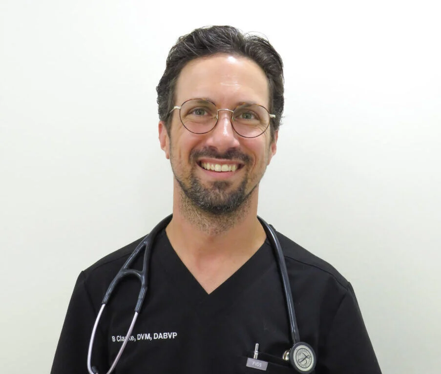American Animal Hospital Association Unveils 2026–27 Board of Directors: A New Era of Leadership and Veterinary Excellence