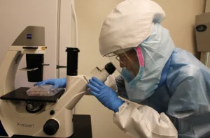 Boosting the Body’s Built-in Shield: WSU Researchers Unveil Breakthrough in Cellular Defense