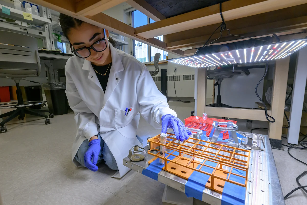 A scientist in a lab coat and gloves carefully handles a sample in an orange rack under a bright LED light.