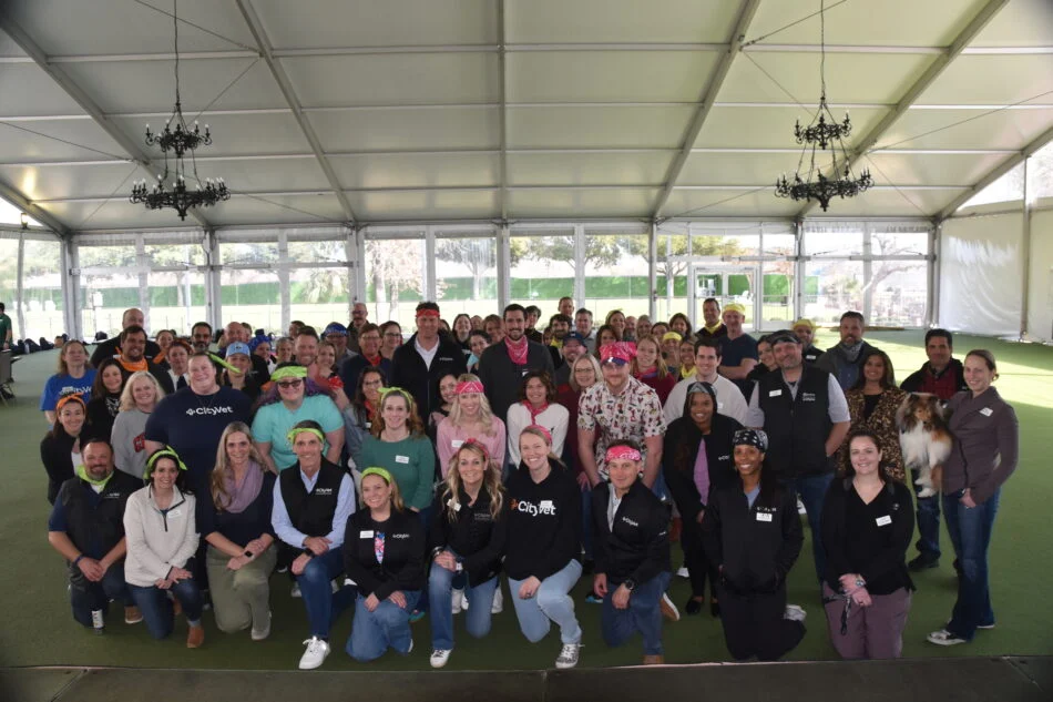 CityVet Secures Consecutive Spot on Fortune Best Workplaces in Health Care List, Showcasing the Power of Veterinarian Ownership