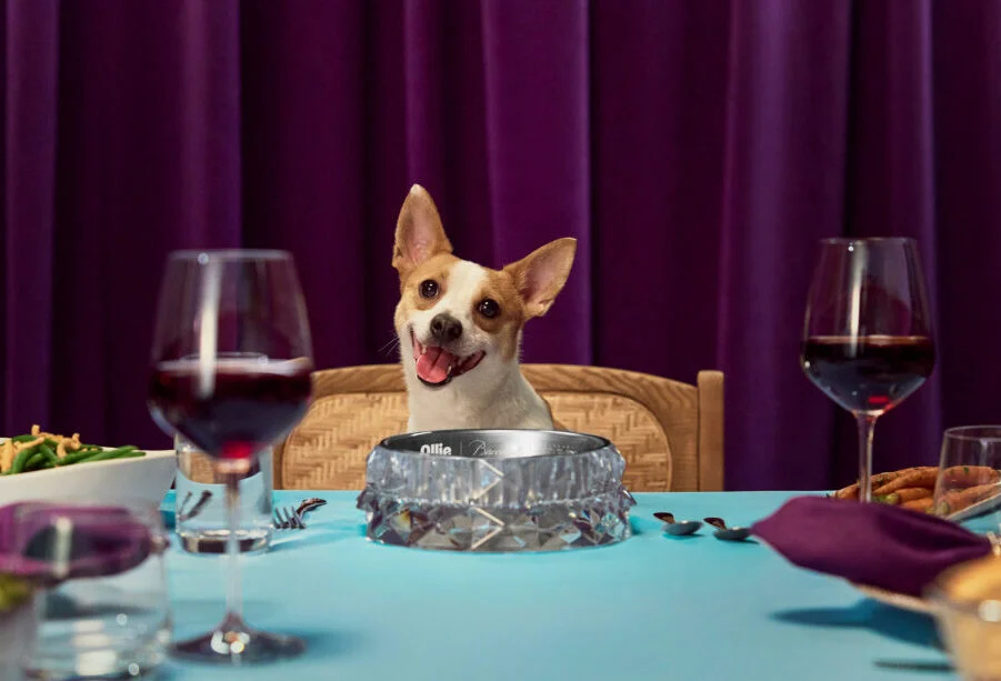 Elevating the Canine Dining Experience: Human-Grade Fresh Dog Food Brand Ollie Introduces the Ultimate Baccarat Crystal Dog Bowl for the Holidays