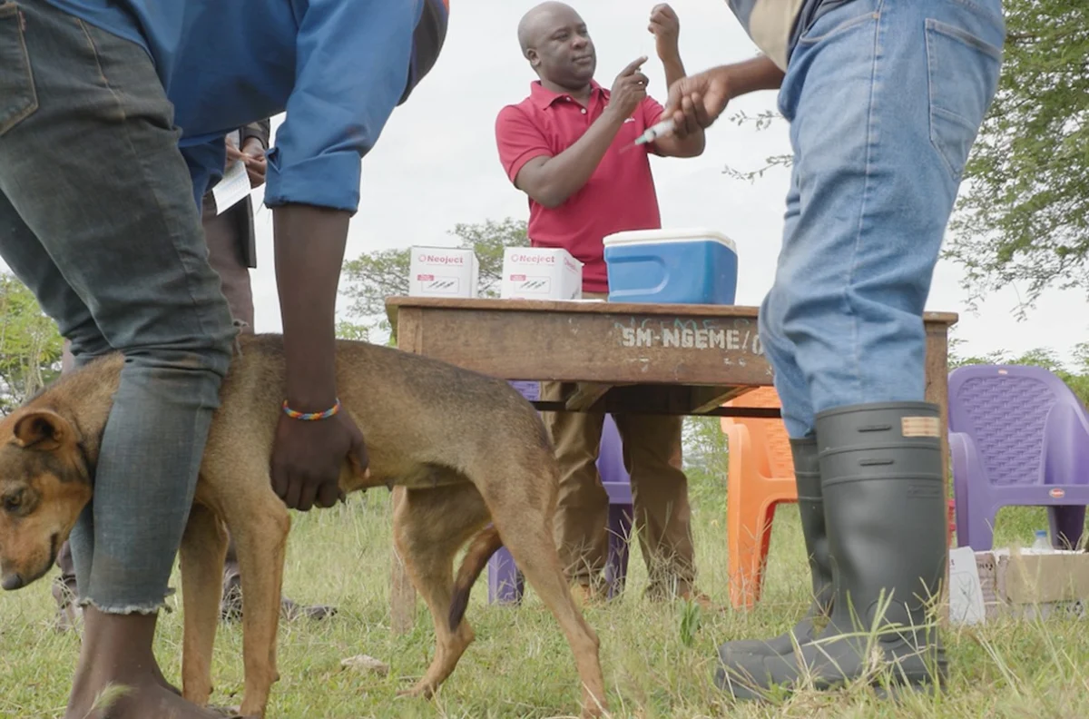 Empowering Communities to End the Rabies Crisis: A New Paradigm in Global Health