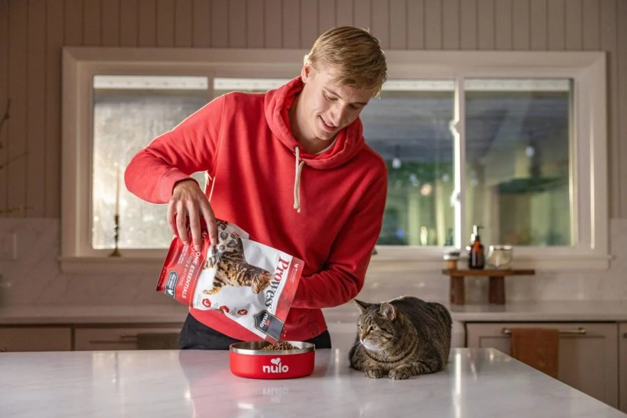 Feline Rulers of the Modern Household: New Survey Reveals How Cats Dictate Relationships, Finances, and Domestic Life