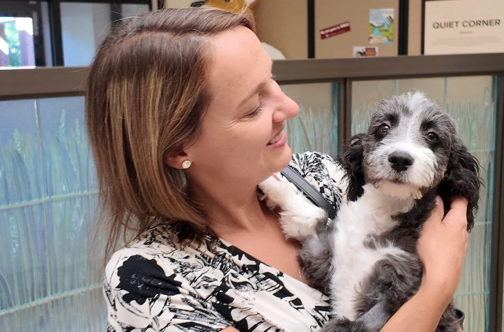 From Hoarding Crisis to Healing: The Remarkable Recovery of Teedee the Poodle Mix