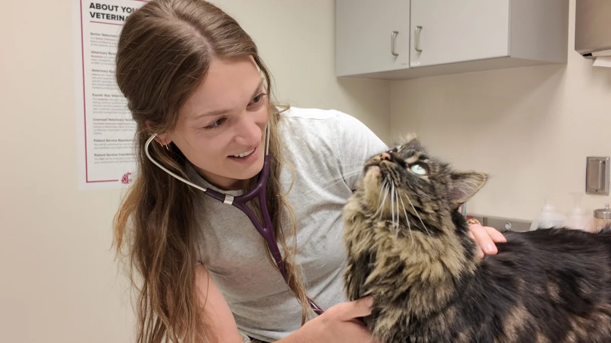 From Small-Town Roots to Veterinary Excellence: The Inspiring Journey of Maitlynn Linton