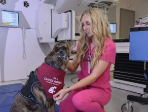 From the Court to the Clinic: Hailey Pelton’s Journey Toward Veterinary Excellence at WSU