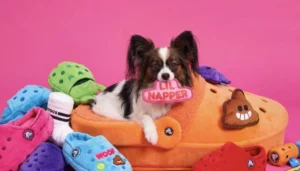 From Viral Novelty to Canine Lifestyle Empire: BARK and Crocs Expand Groundbreaking Partnership