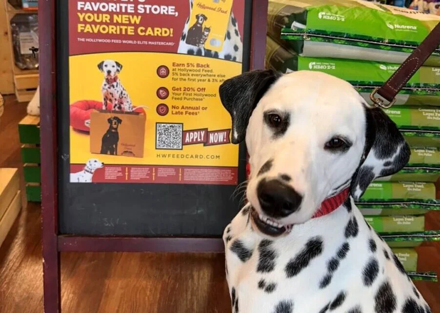 Hollywood Feed and Sunbit Launch Nationwide Rollout of World Elite Mastercard to Help Consumers Navigate Rising Pet Care Costs