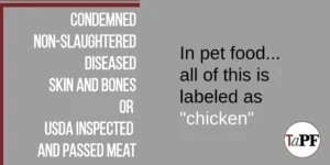 Inside the Pet Food Labeling Crisis: Why "Chicken" Can Mean Anything from Grocery-Grade Meat to Diseased Carcasses