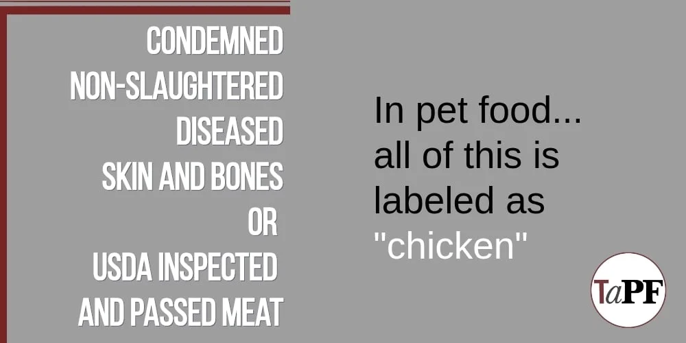 Inside the Pet Food Labeling Crisis: Why "Chicken" Can Mean Anything from Grocery-Grade Meat to Diseased Carcasses