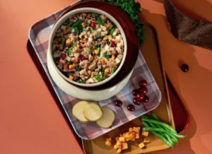 JustFoodForDogs Brings Back Holiday Favorite: The Thanksgiving Feast Recipe Combines Seasonal Flavors with Canine Nutrition
