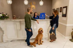 Luxury Canine Care Arrives in Loudoun County: K9 Resorts Opens 53rd Location in Sterling, Virginia
