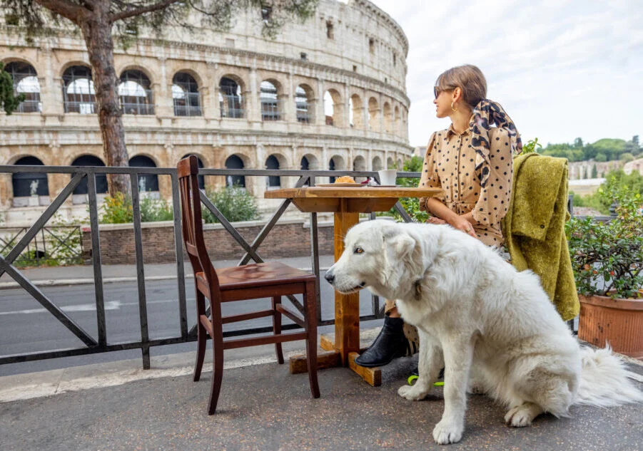 Paws Across the Atlantic: The Boom in Americans Relocating Entire Households of Pets to Italy