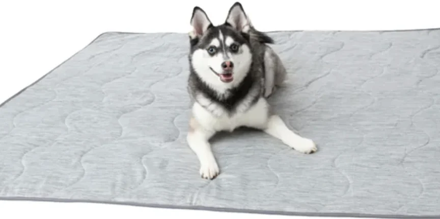 Paws and Refinement: The Rise of Luxury Canine Bedding and How Modern Dog Blankets Redefine Pet Comfort