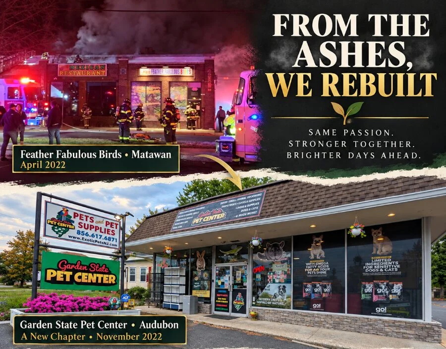 Rising From the Ashes: Garden State Pet Center Marks a Milestone of Resilience, Community, and Compassion in Audubon
