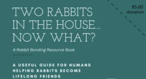 Strengthening the Human-Bunny Bond: A New Comprehensive Resource for Rabbit Caregivers
