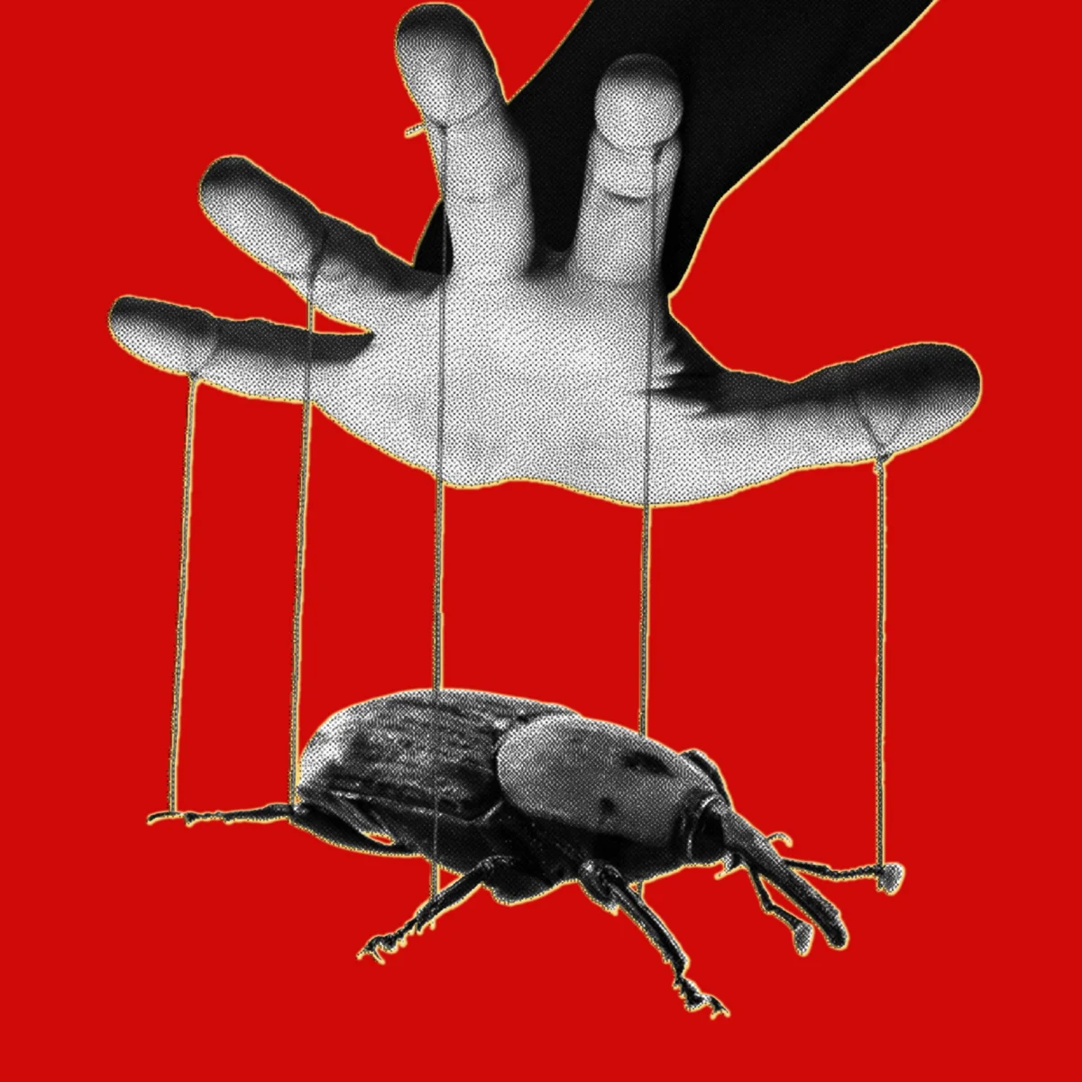 The PHP2Shell Crisis: How Artificial Intelligence Weaponized Decades-Old Code and Redefined Cybersecurity