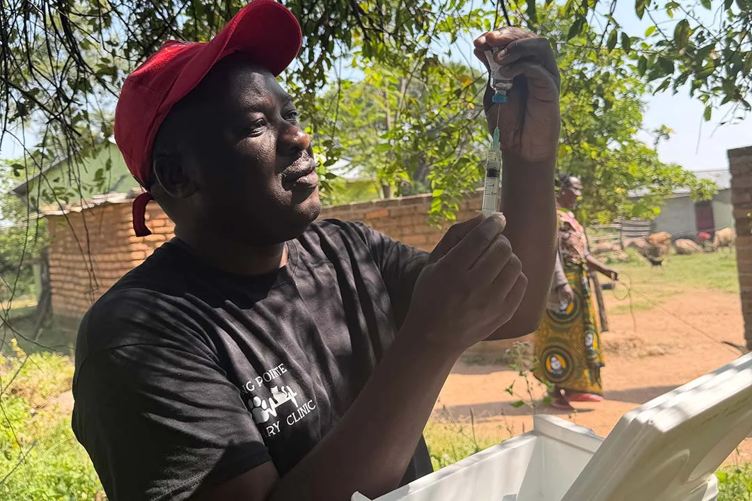 The Silent Guardian: How One Man and a Clay Pot Are Defeating Rabies in Tanzania