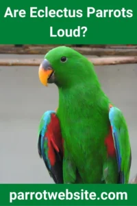 The Sound and the Feathers: A Comprehensive Investigative Report on the Vocalizations, Behavior, and Care of the Eclectus Parrot