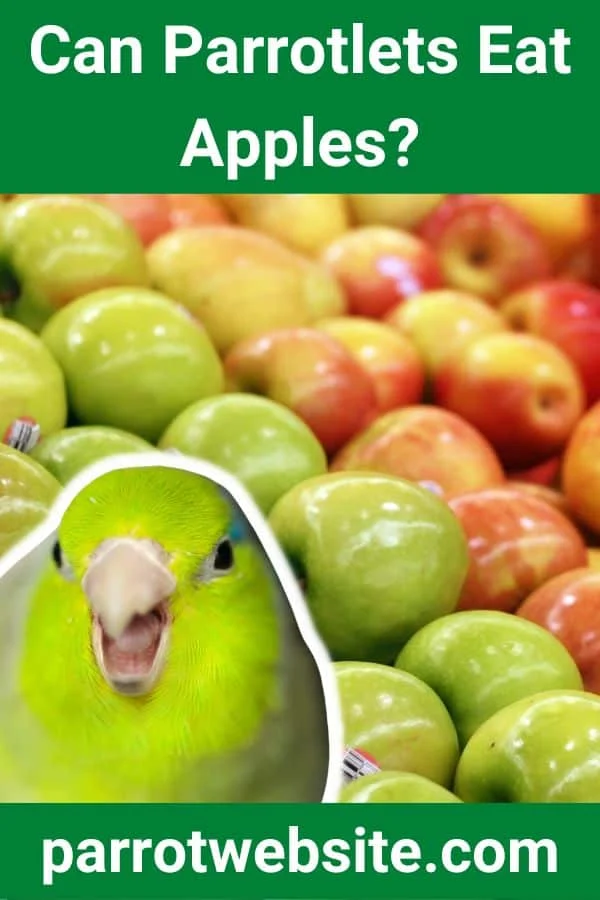 The Ultimate Avian Nutritional Guide: Can Parrotlets Safely Eat Apples?