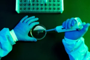 Unprecedented Human Case of Shamonda Virus Confirmed in France: What We Know, the Risks, and the Global Implications