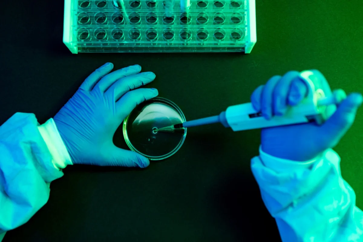 Unprecedented Human Case of Shamonda Virus Confirmed in France: What We Know, the Risks, and the Global Implications