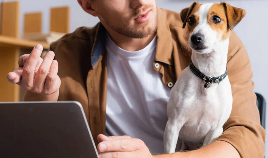 Wagmo and Wonderdog Join Forces to Elevate Workplace Pet Benefits with Proactive Health Intelligence and Early Disease Detection